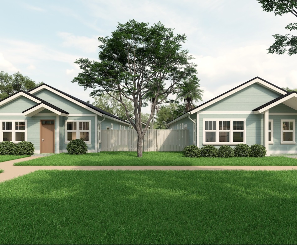 a row of houses and a tree between them