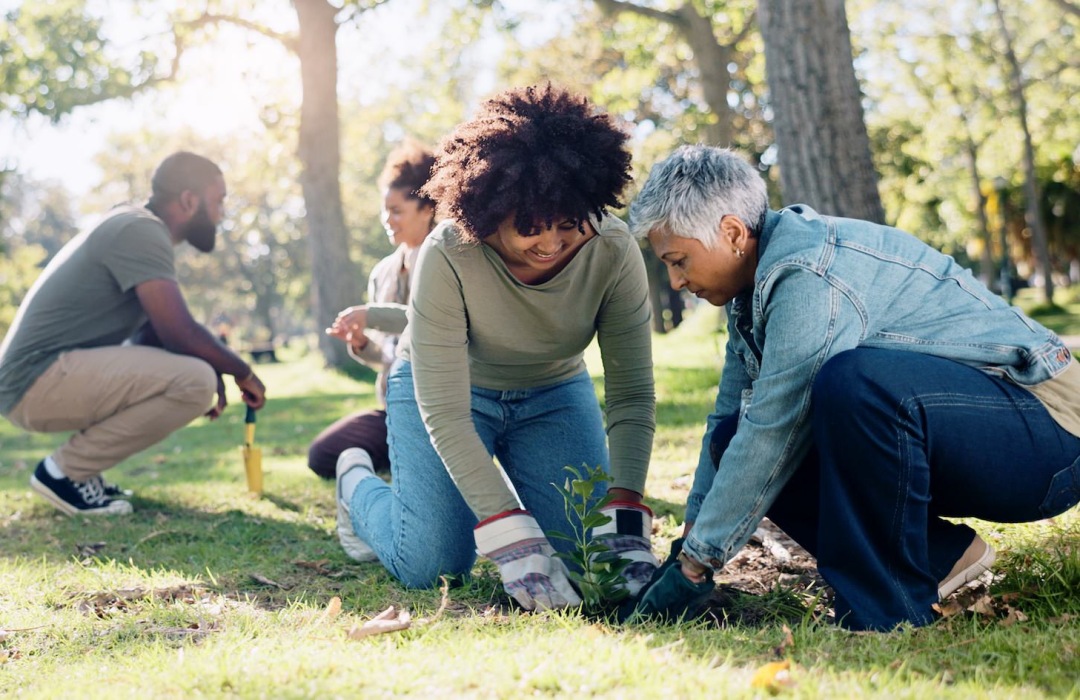 people gardening