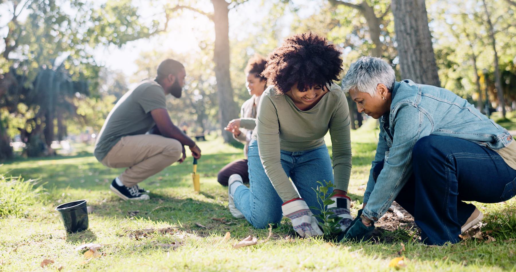 people gardening